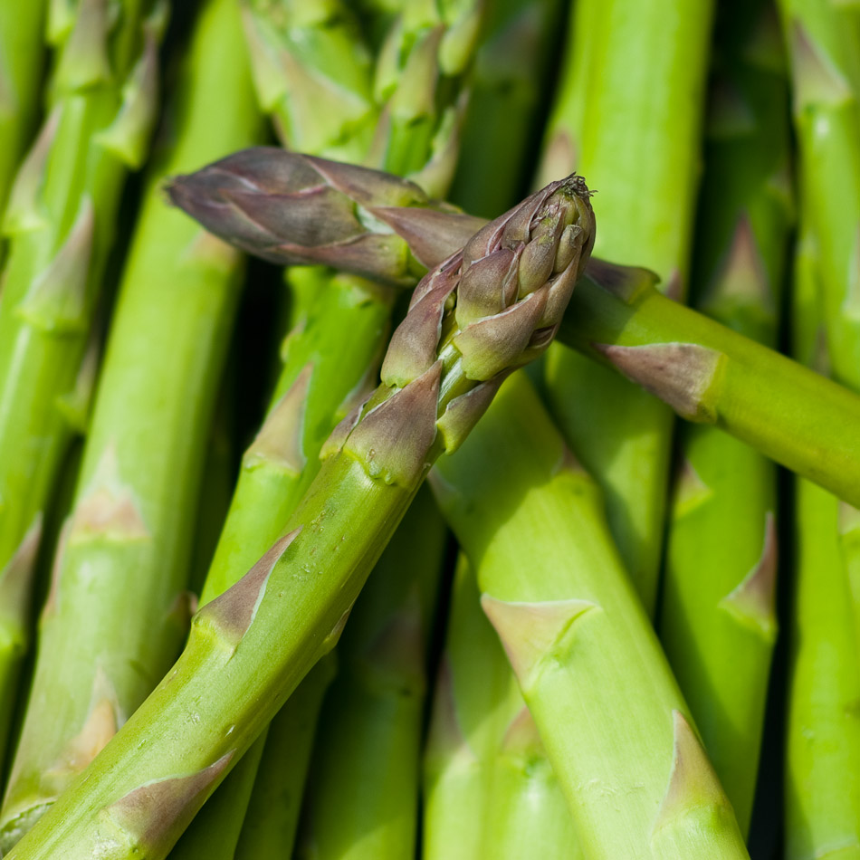 Outtake #5 - AJHG, asparagus