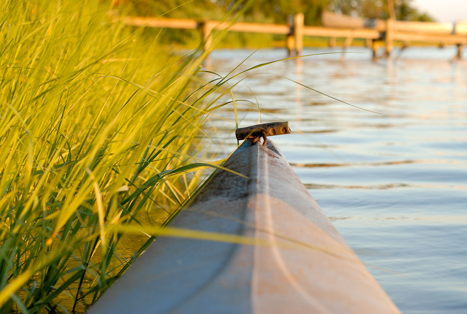 Bow In The Reeds - kayak, water