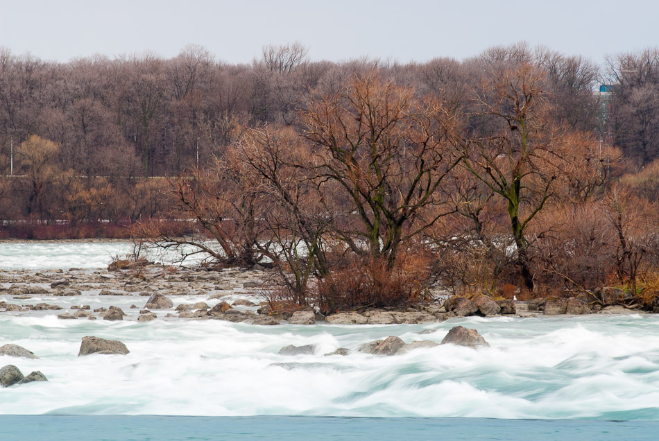 Rapids and a Bird - Canada, Landscape, Nature, Niagara Falls, Ontario, Waterfall, travel