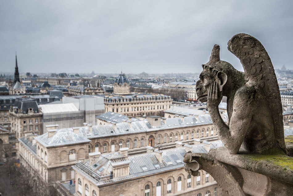Lookout - Animals, Europe, France, Notre Dame, Paris, gargoyle, travel