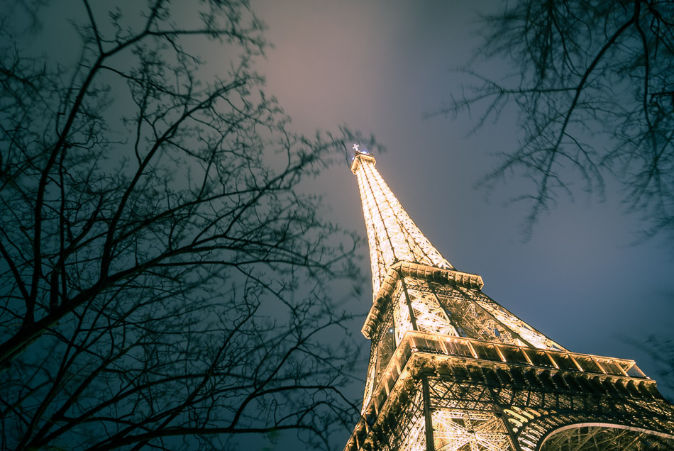 Tower and Branches -