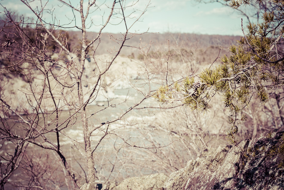 Potomac and Trees - Great Falls Park, Hiking, Maryland, USA, travel, trees, winter