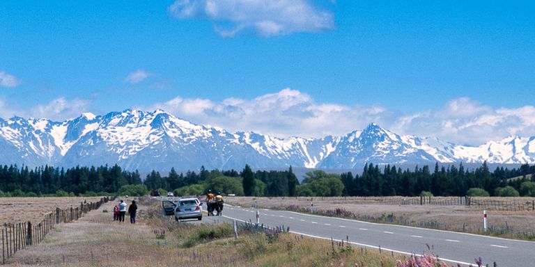 Glimpse - Near Christchurch, New Zealand