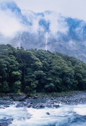 Falls - Milford Sound, New Zealand