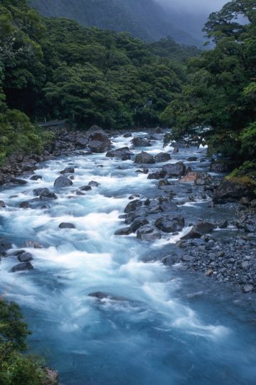 Roadside - Milford Sound, New Zealand