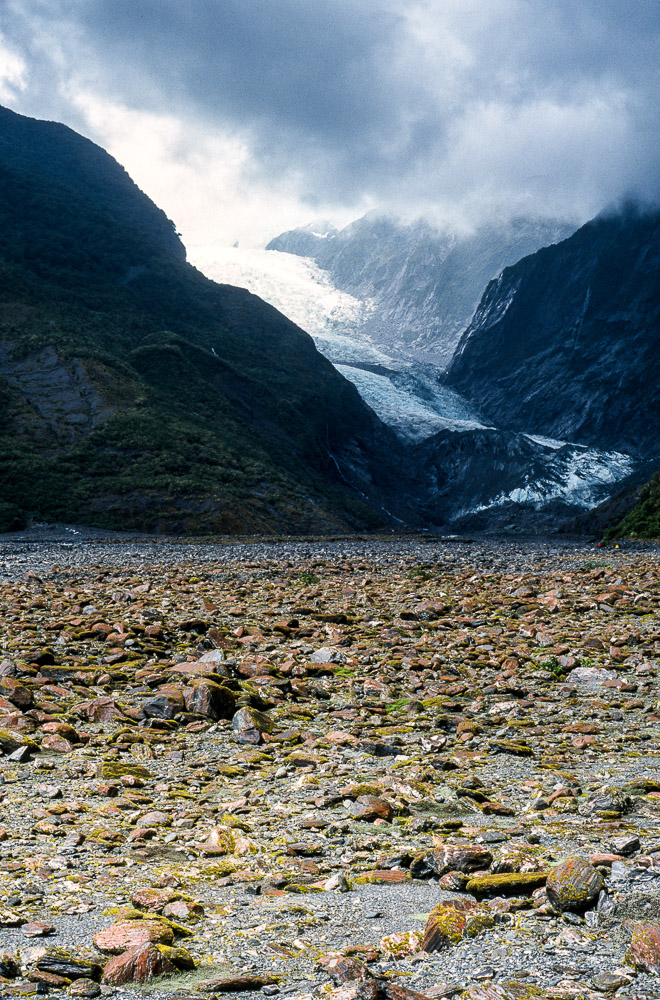 Path - Franz Joseph Glacier, New Zealand