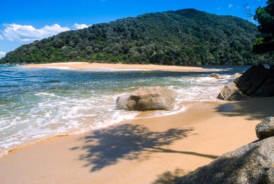 Shadow on Sand - Abel Tasman National Park, New Zealand