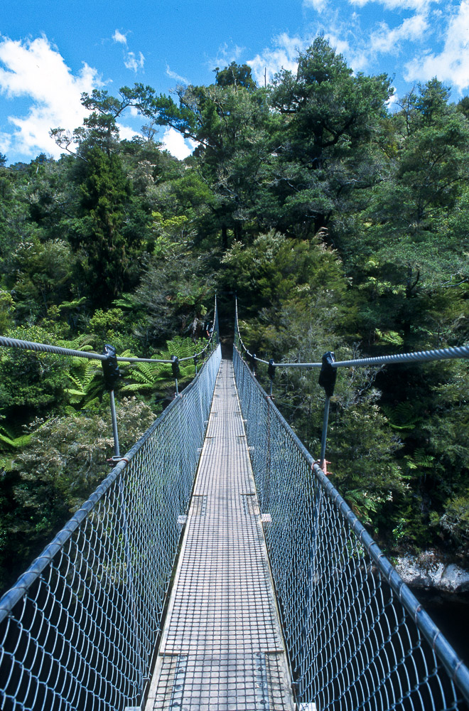 Single File - Abel Tasman National Park, New Zealand