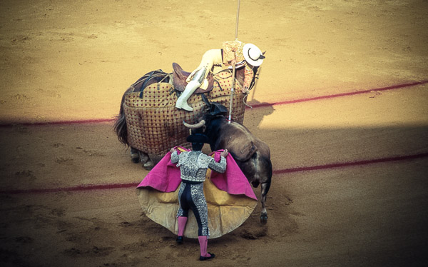 Horseback - Seville, Spain