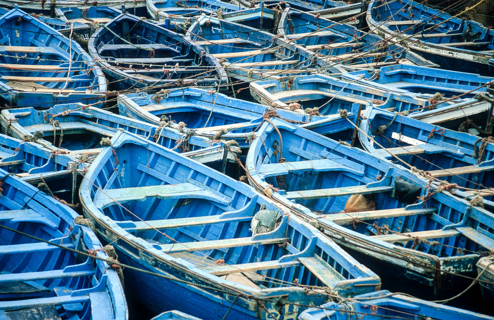 Fleet - Essaouira, Morocco