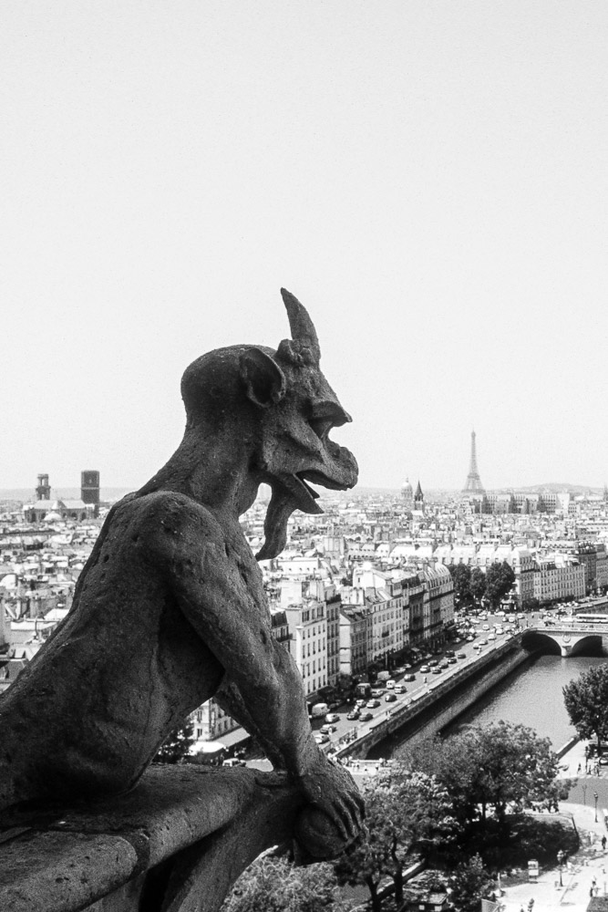 Gargoyle 2 - Notre Dame, Paris, France