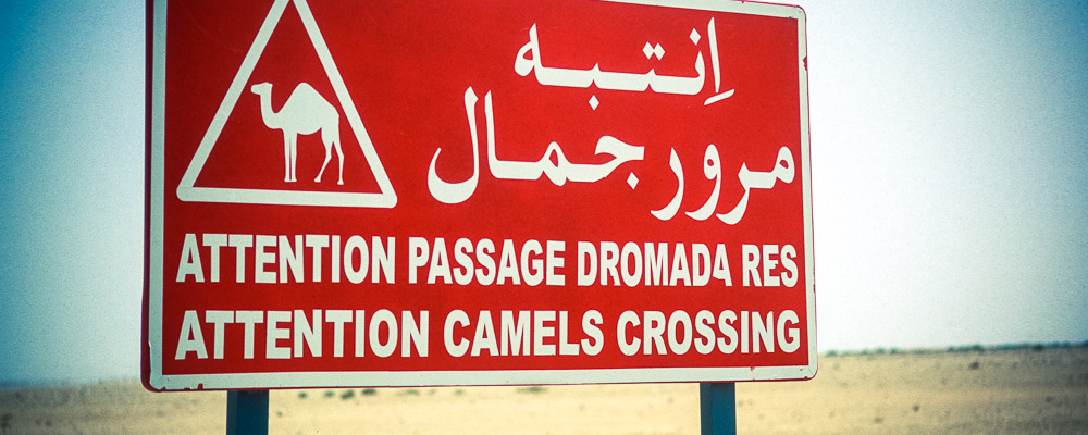 Attention - Tozeur, Tunisia