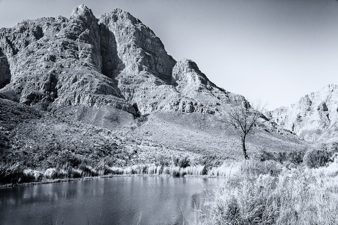 Afternoon Hike -Cape Town, Cape Winelands, Paarl, b&w, hiking, lake, mountain, tree