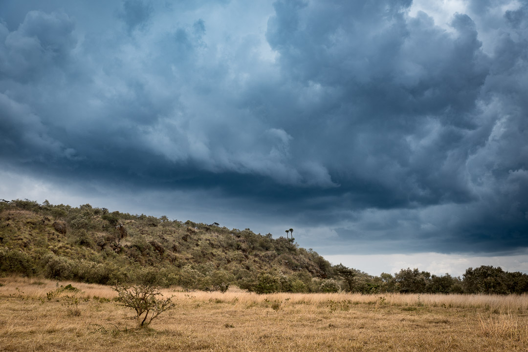 Two Trees Against the Sky - Africa, Kenya, Mt Longonot, clouds, hiking, sky, storm, travel